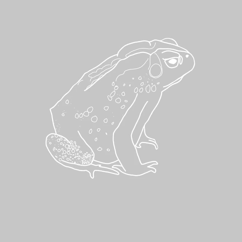 crapaud