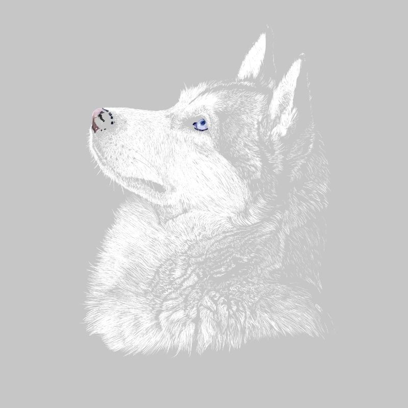 Husky
