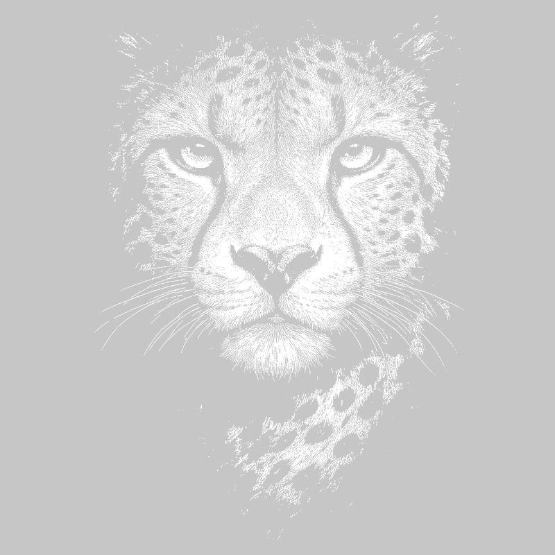 Guépard