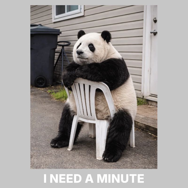 I Need A Minute Panda Meme Funny Humor
