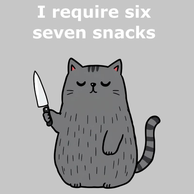 6-7 Internet Meme 6 7 Snack Cat