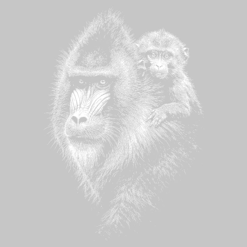 Mandrill
