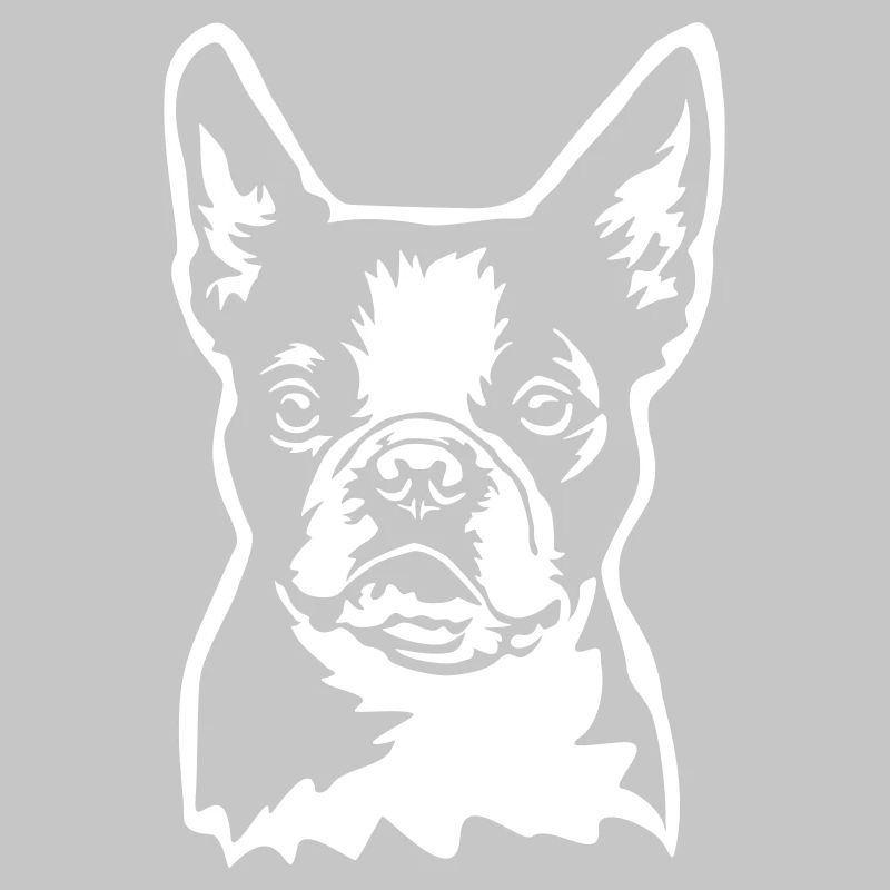 Tête de Boston Terrier « Black Edition »