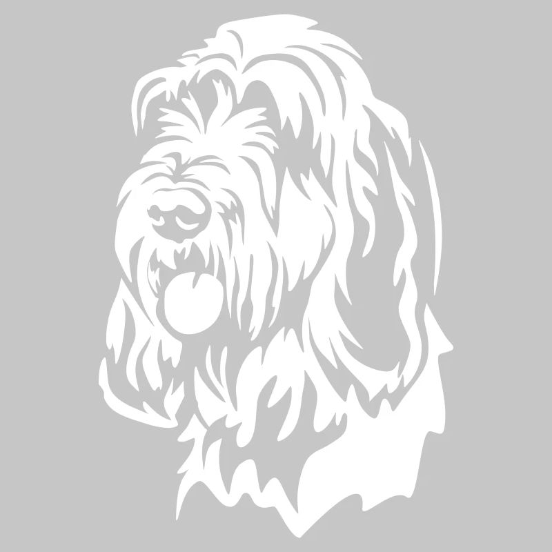 Spinone Italiano Head "Black Edition"