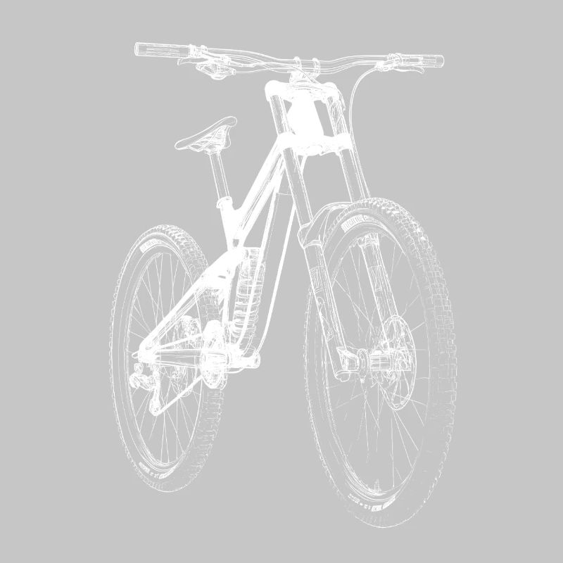 Fahrrad Xray