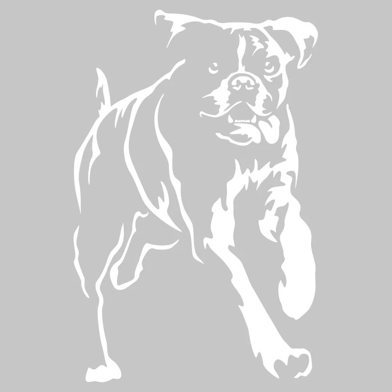 Boxer "Black Edition"