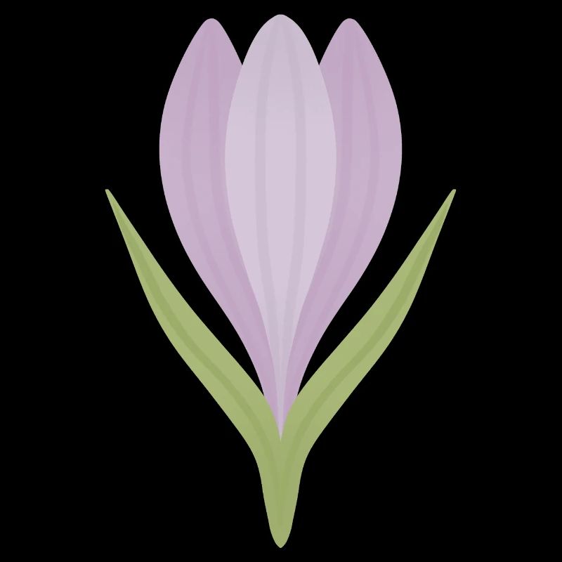 Lilac Crocus Bloom Illustration