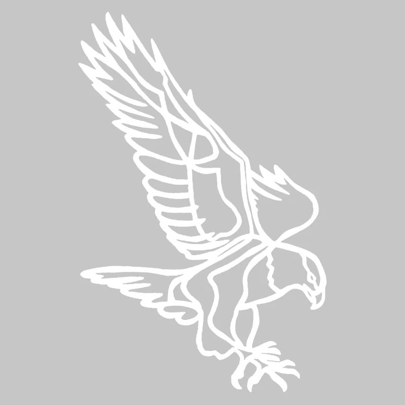 Aigle blanc en vol
