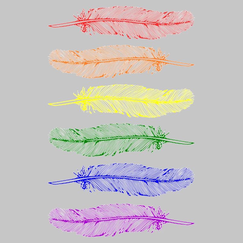 Feathers Rainbow