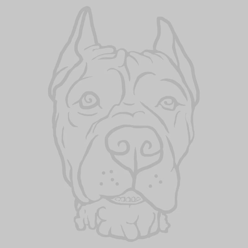 Cane Corso Kopf