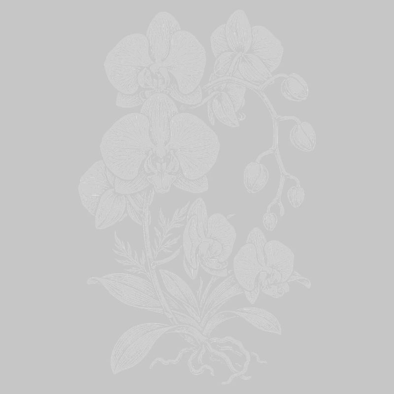 Orchidée Linework Silk Floral
