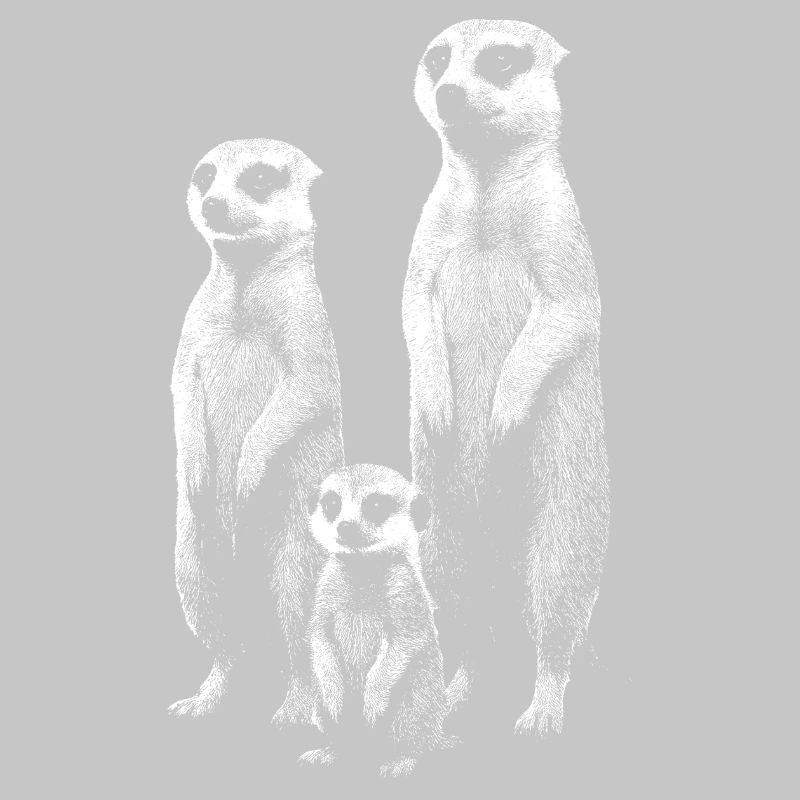 Meerkat light