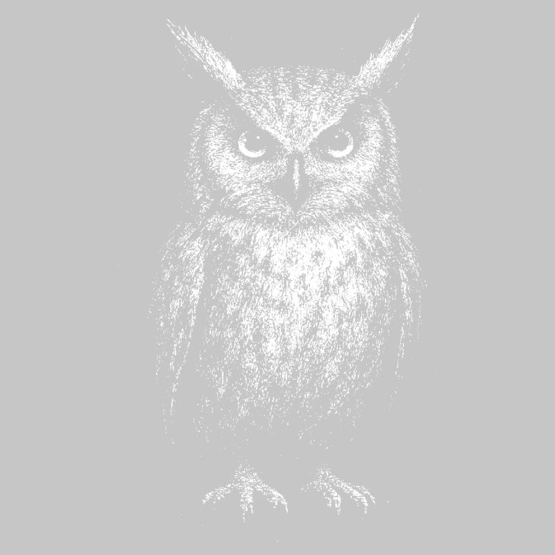 An eagle owl