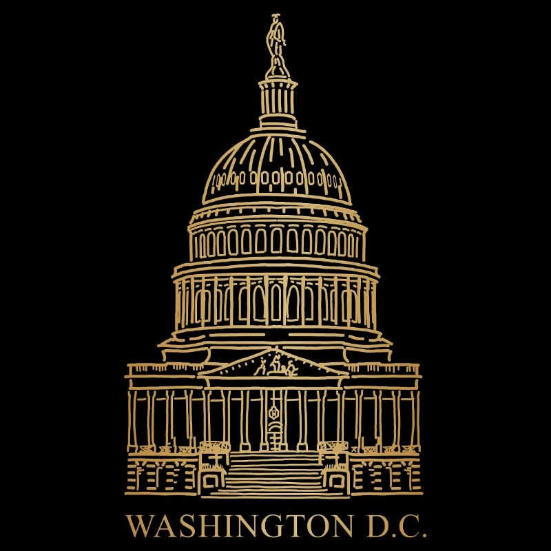 Capitole, siège du Congrès Washington D.C., États-Unis