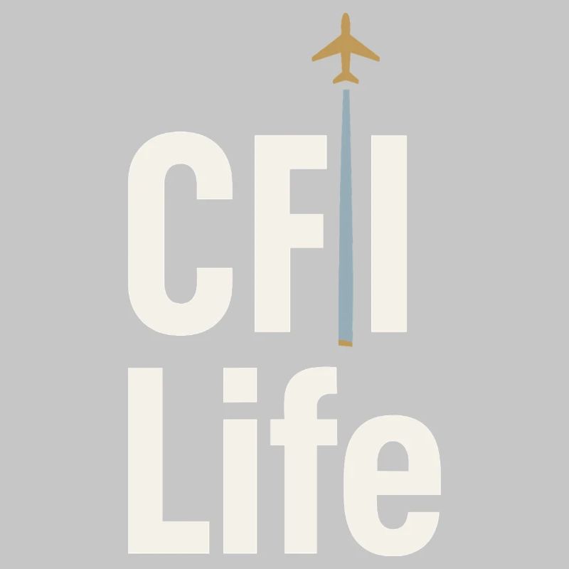 Flight Instructor Cfi Pilot Aviation Instructor
