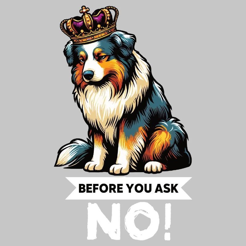 Avant de demander aux Australian Shepherds Aussie Aussies