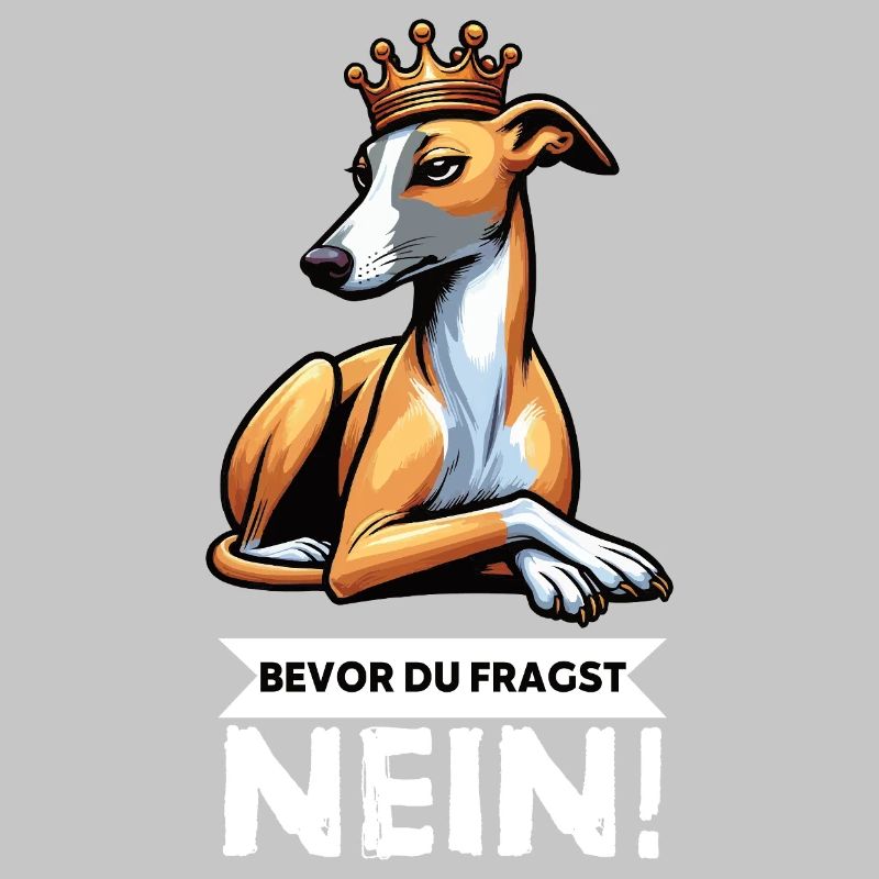 Avant de demander aux Whippets Greyhound Whippets