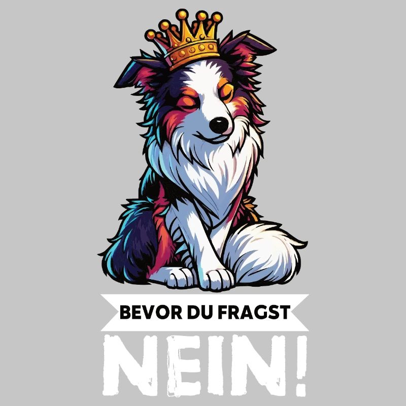 Bevor Du Fragst Australian Shepherd Aussie Aussie