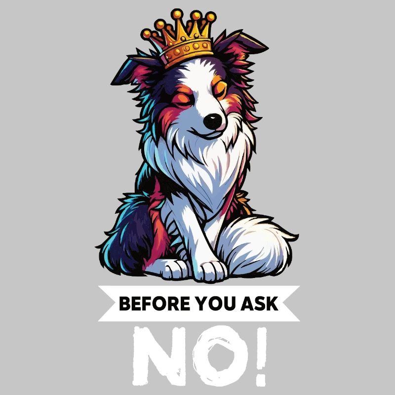 Before You Ask Australian Shepherd Aussie Aussies