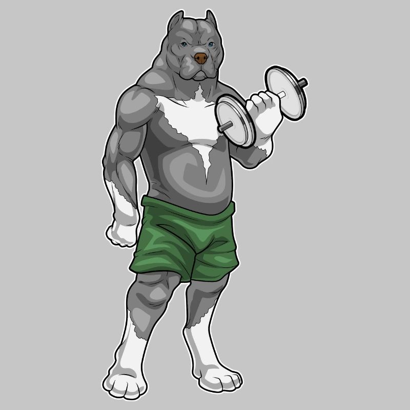 Pitbull Bodybuilder Musculation haltères