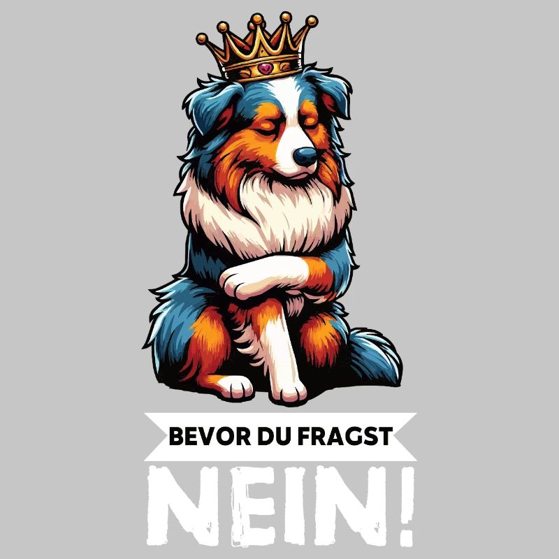 Bevor Du Fragst Australian Shepherd Aussie Aussie