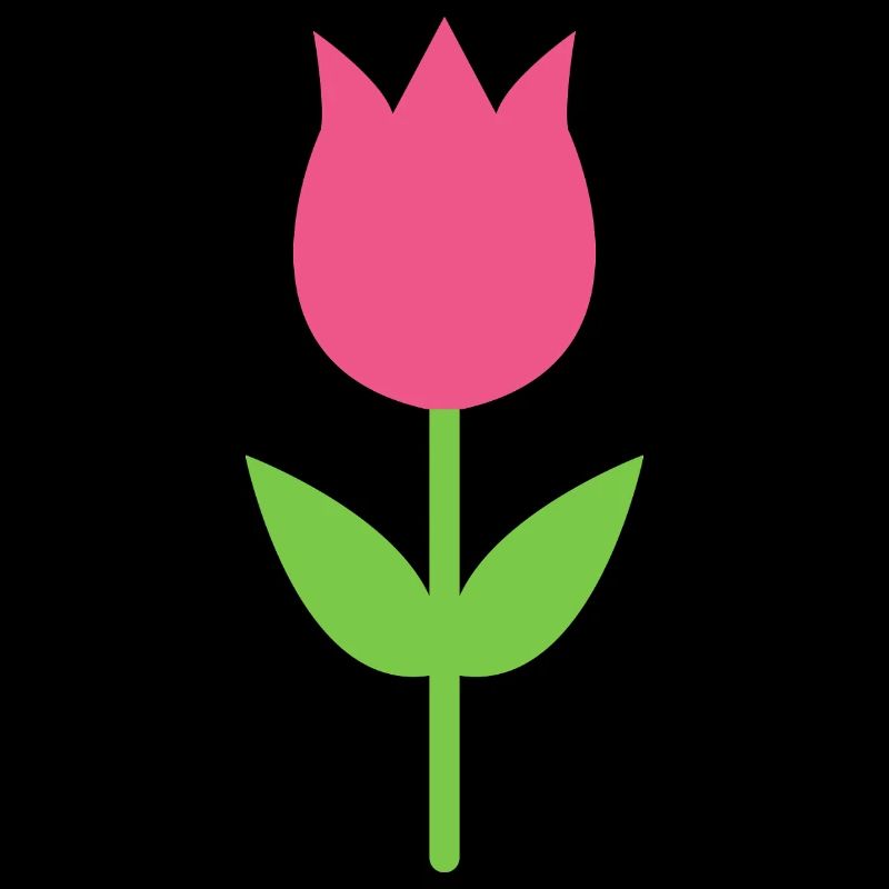 Tulipe