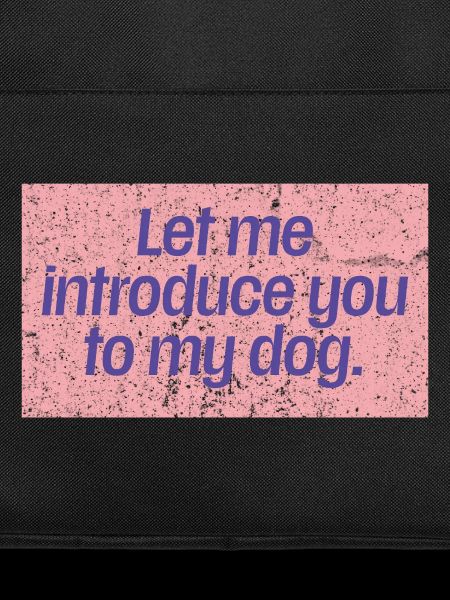 Dog First Impressions