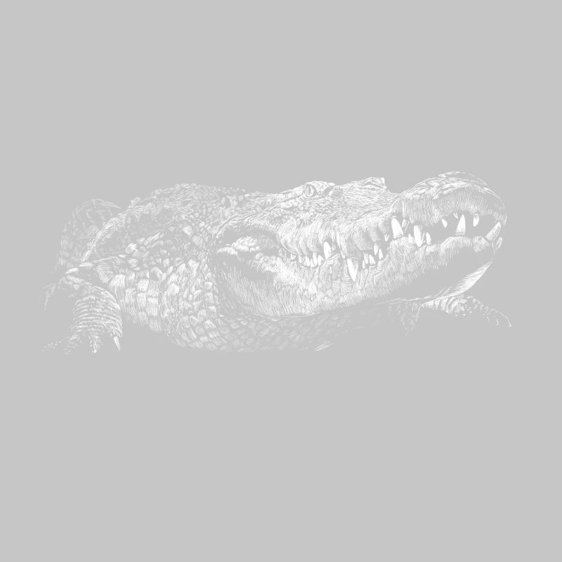 Krokodil