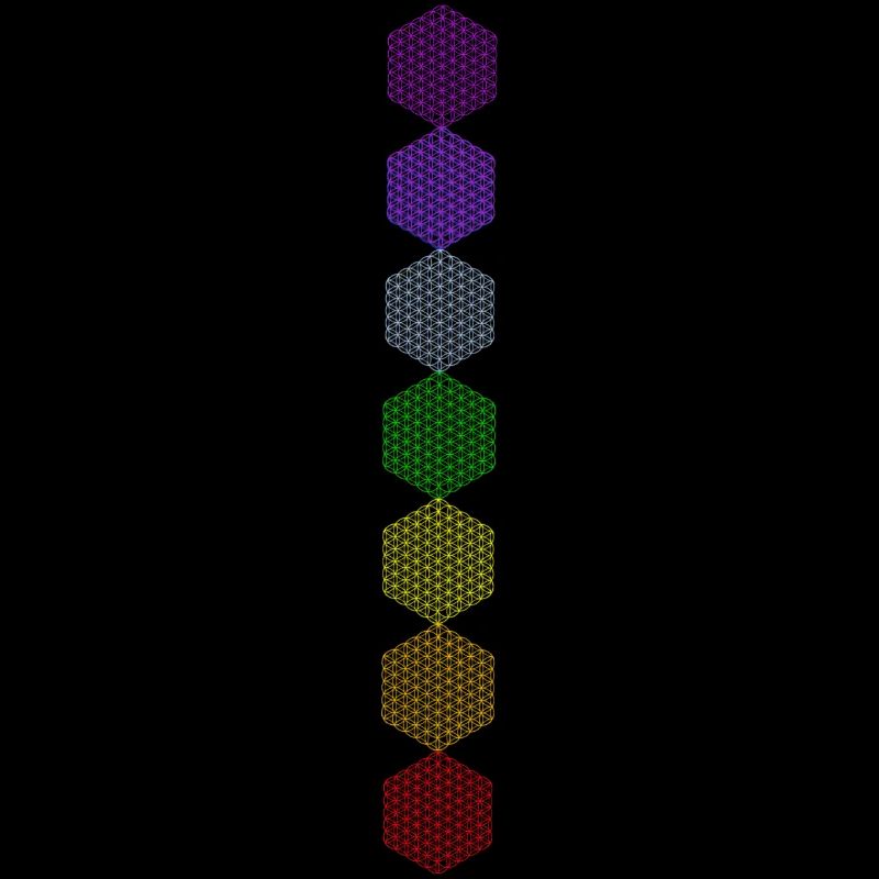 Blume des Lebens - 5. Dimension - 7 Chakren