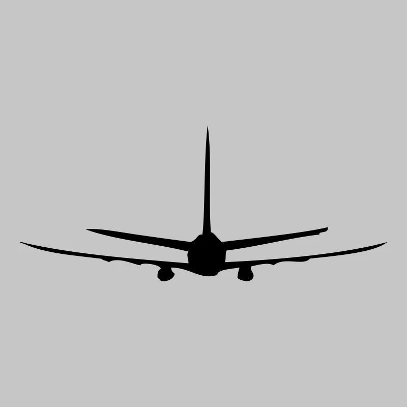 Flugzeug