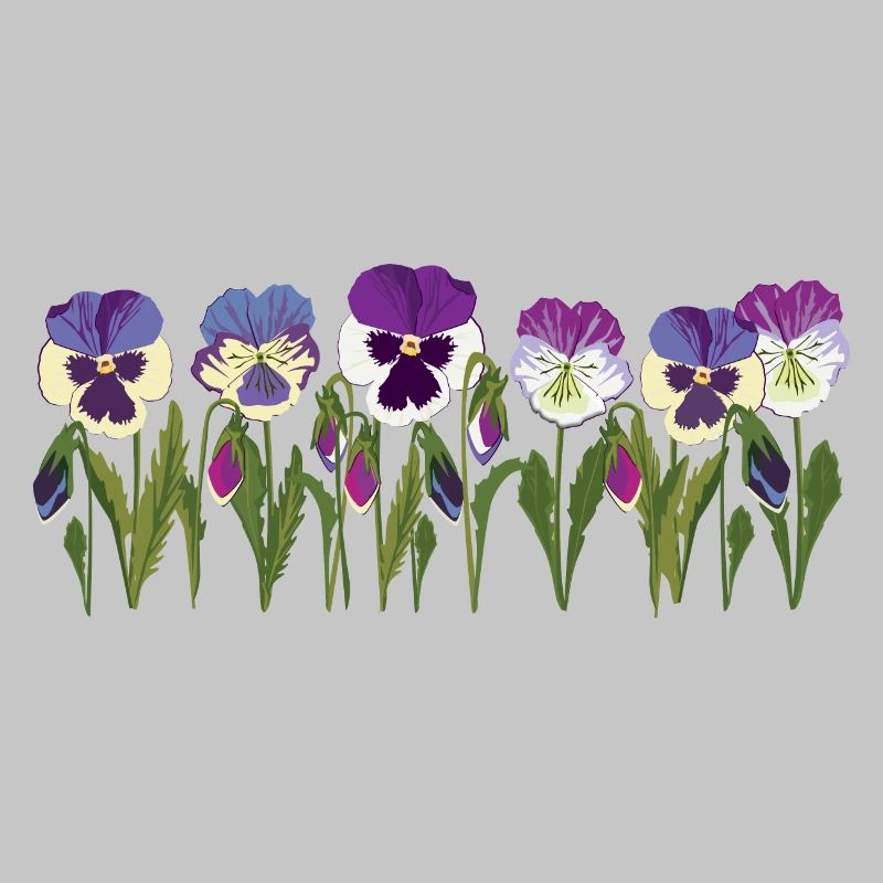 Rangée de fleurs de pensée en violet