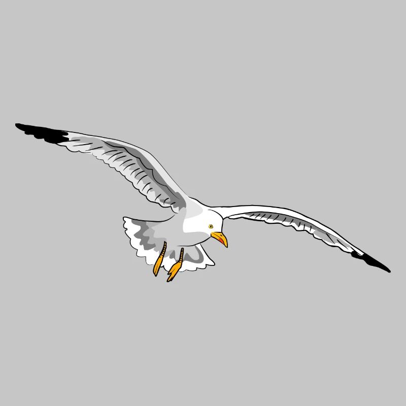 mouette