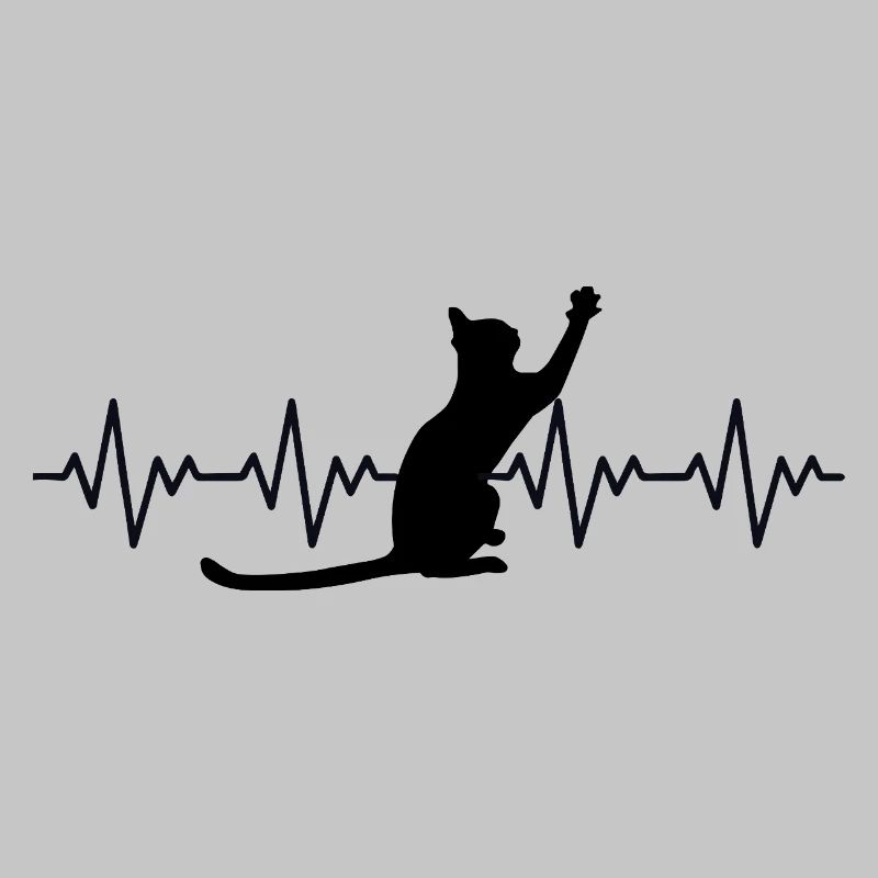 Katze EKG Herzfrequenz Herzschlag