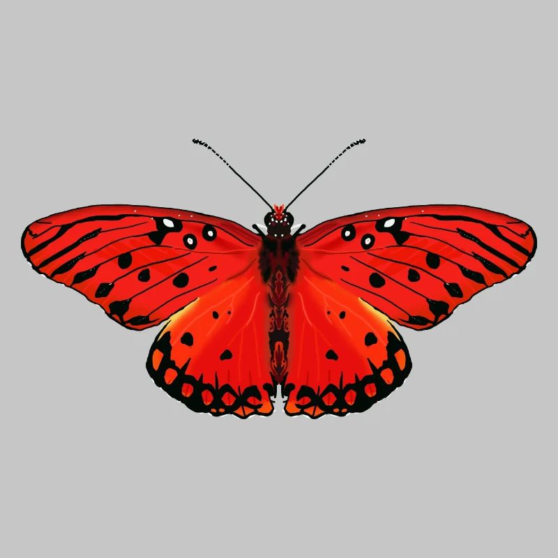 Fiery red butterfly