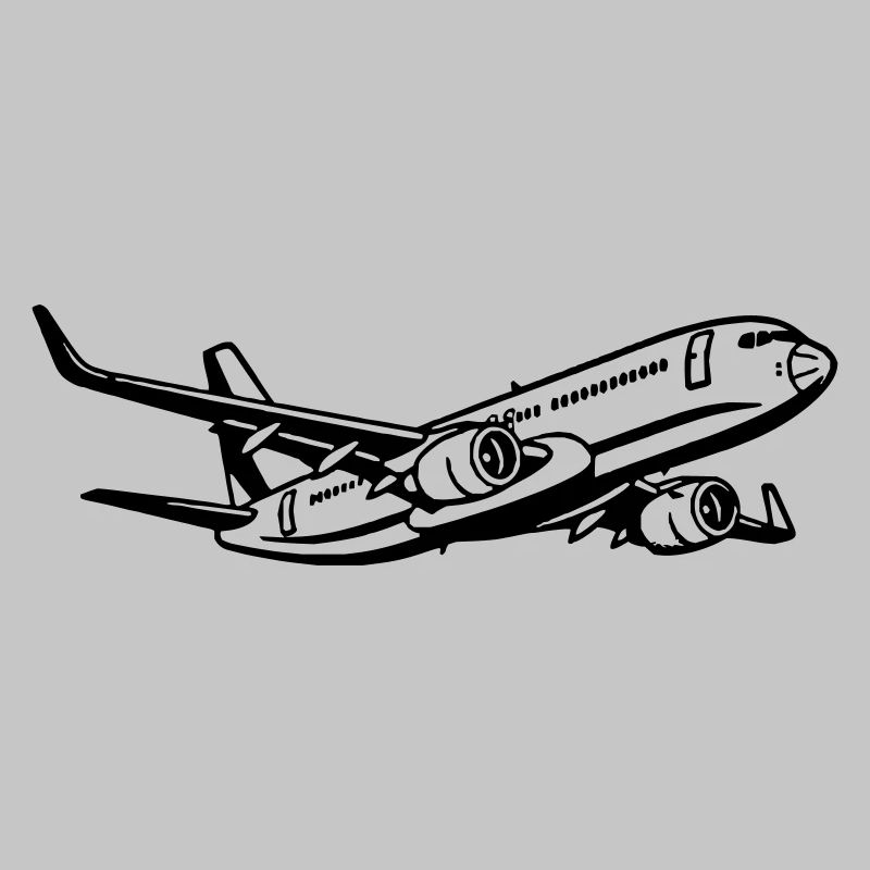 Flugzeug