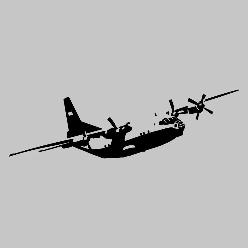 L’An-12