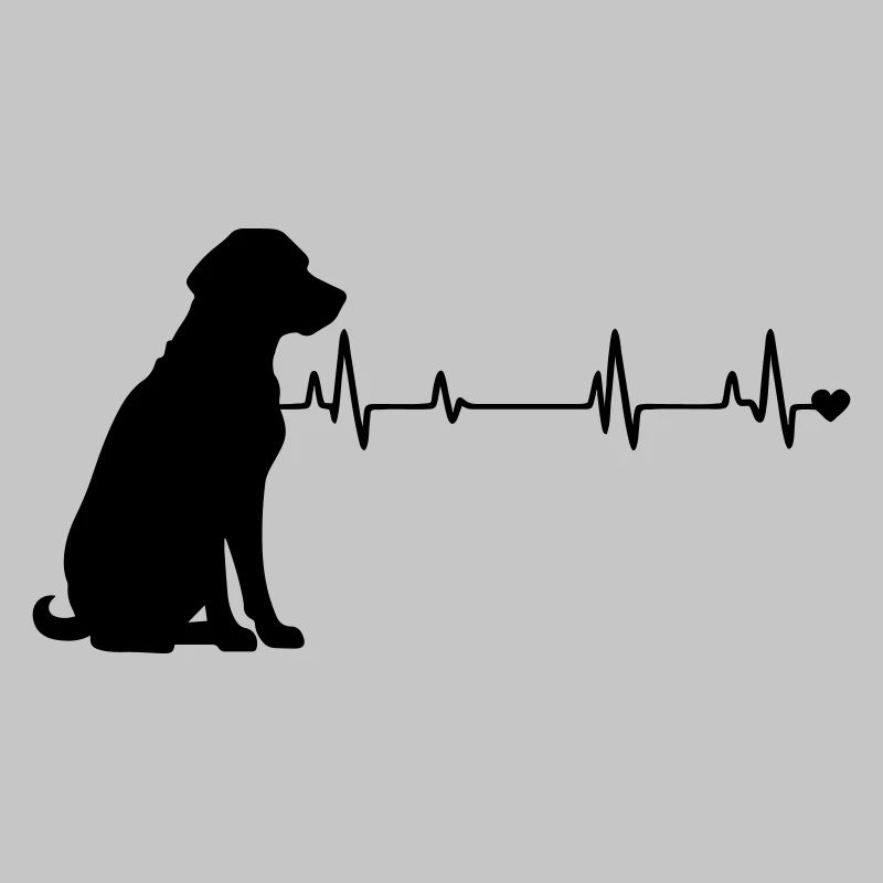 Chien