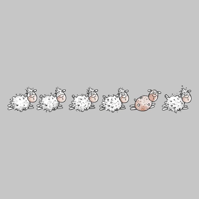 Sheep Flock and sheared sheep
