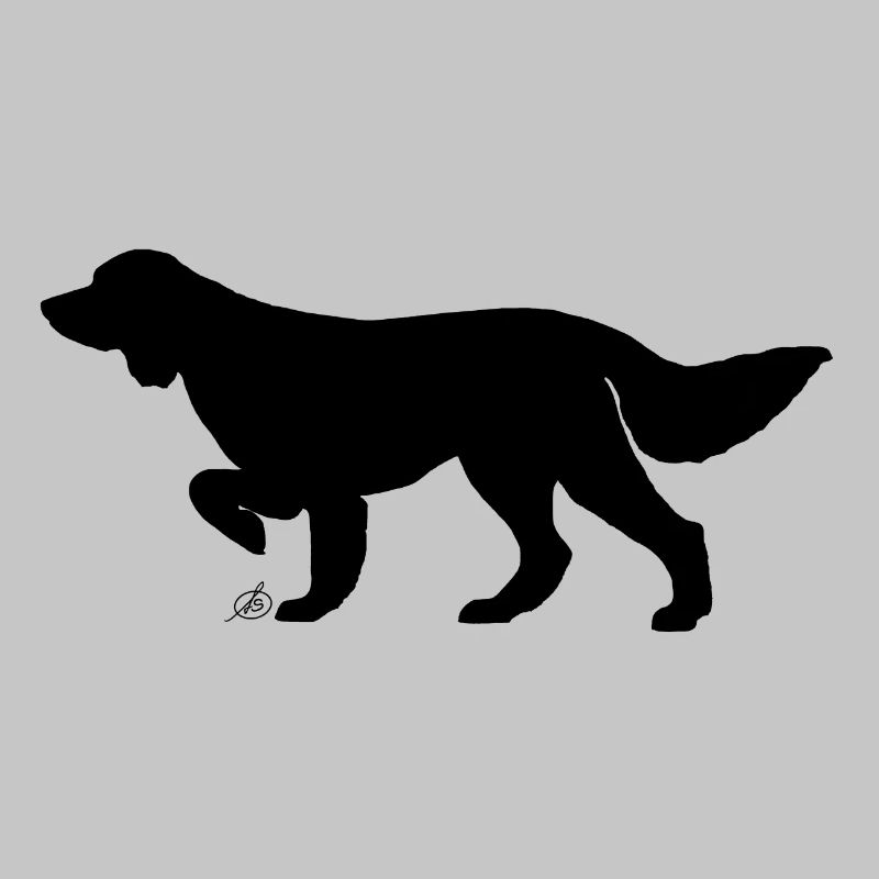 Long haired pointing dog