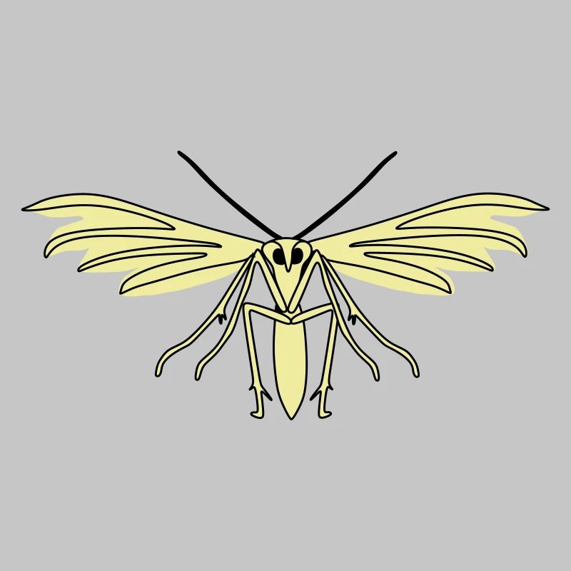 Feather moth