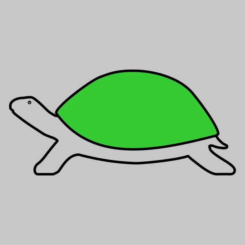 Schildkröte