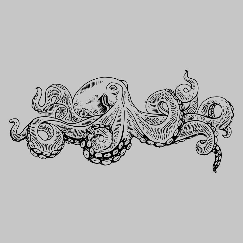 Octopus - Octopus Black Pattern