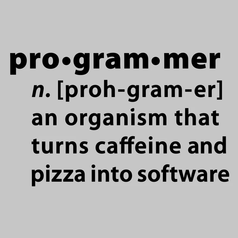Programmer Wörterbuchdefinition
