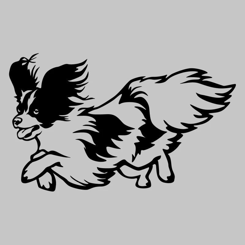Papillon