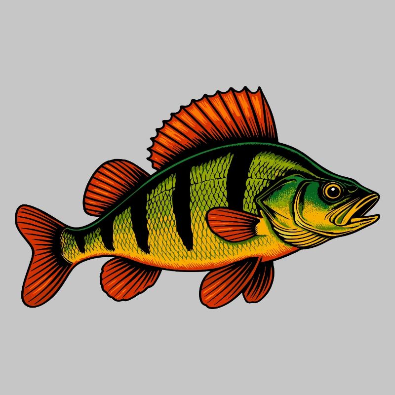 Perche Perche Perche Perche Perche Pêche Perche Perche