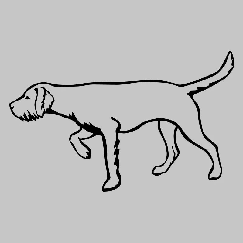 Magyar Vizsla