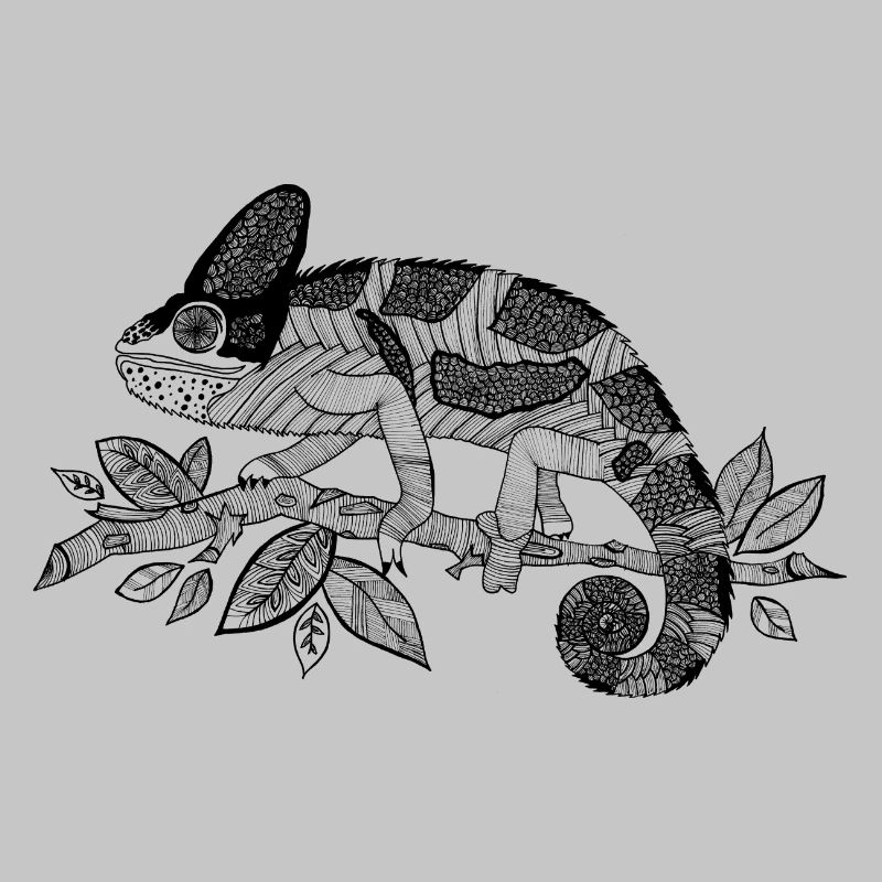 Chameleon