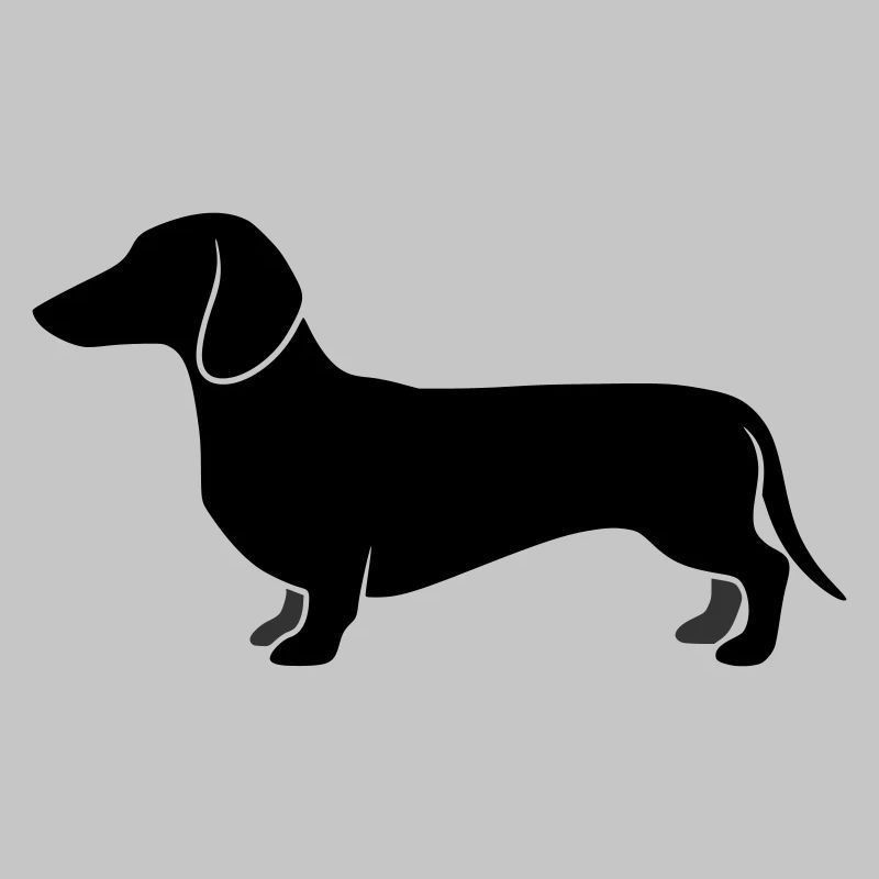 Teckel Jagdhund Profil