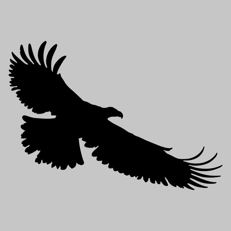 aigle