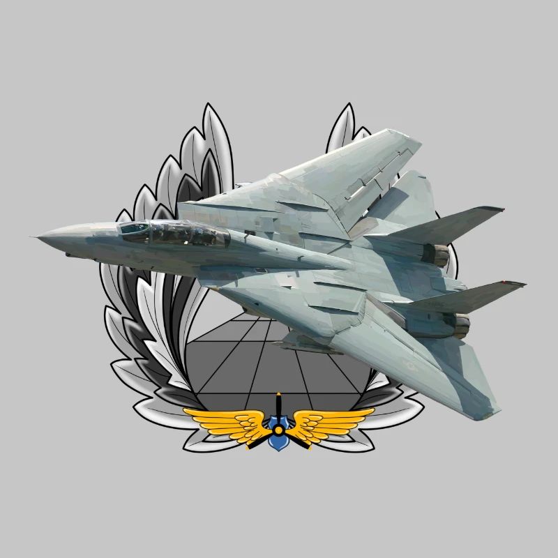 F-14 Tomcat